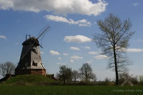 Żuławy- wiatraki