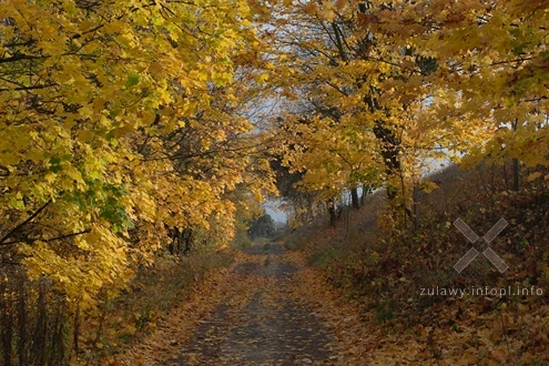 08.11.2025. Jesień 2025 na Żuławach Wielkich