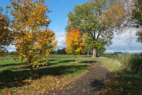 19.10.2025. Jesień 2025 na Żuławach Małych