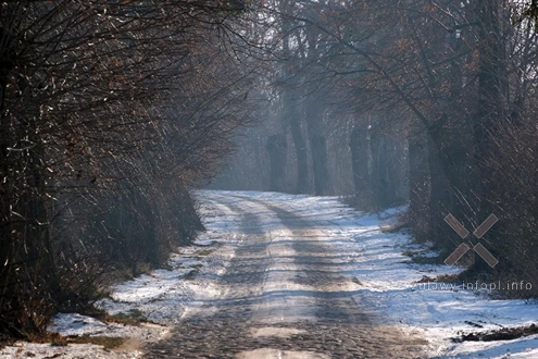 06.01.2026. Pozamiejski krajobraz zimowy