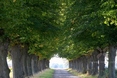 27.09.2025. Początki jesieni na Żuławach Małych