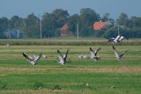 20.09.2025. Ostatni powiew lata