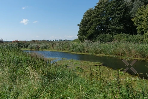 08.09.2025. Obrazki znad Świętej, cz. II