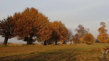 „Jesień, jak to tak?”