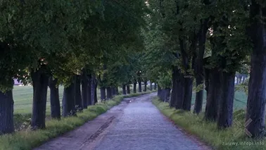 Tam, gdzie kończą się Żuławy, a zaczyna Powiśle