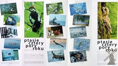 Żuławskie ptaki na Kociewiu