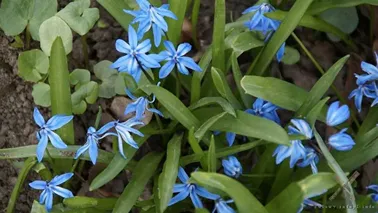 Na zachód od Malborka