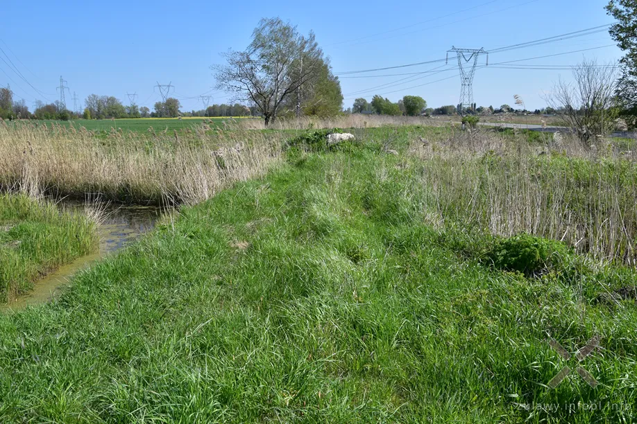 Pozostałości po WKAG