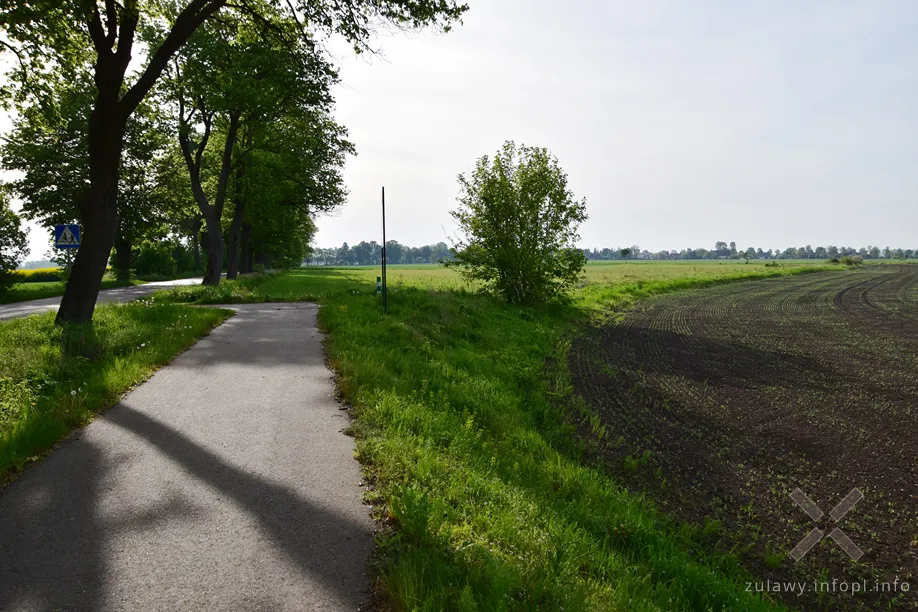 Odejście torowiska w kierunku Lichnówek