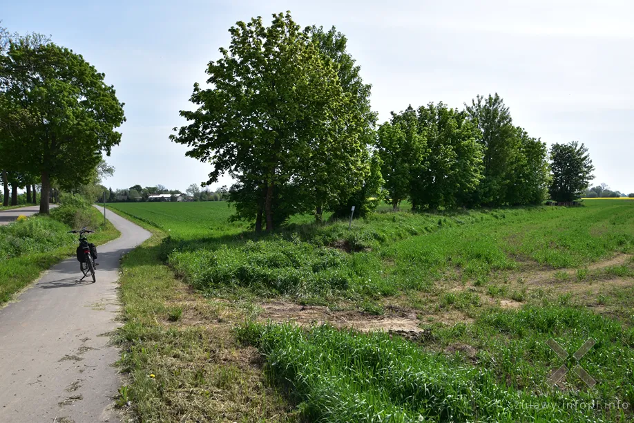 Odejście toru od drogi w Lubieszewie