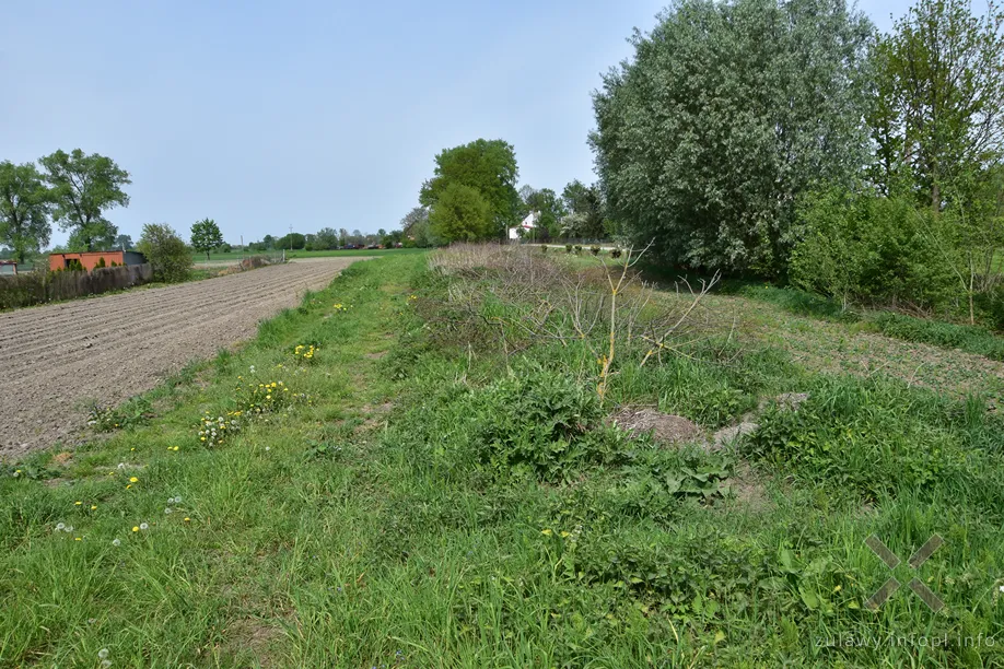 Torowisko i miejsce przystanku w Rakowiskach