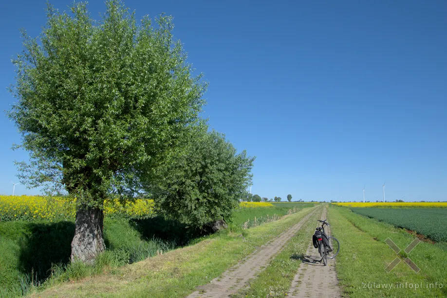 Na trasie do Świerek