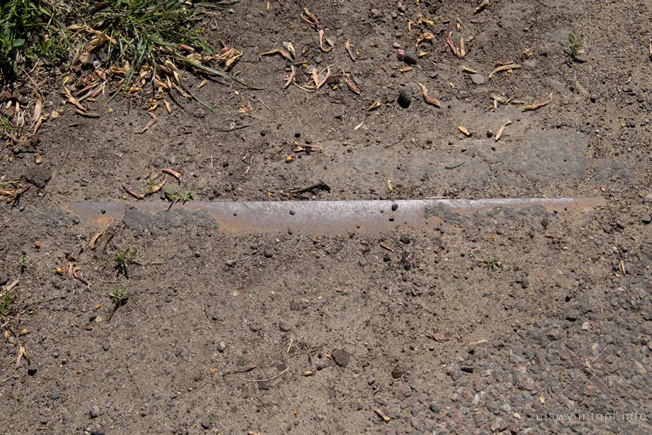 Fragment toru w Trępnowach