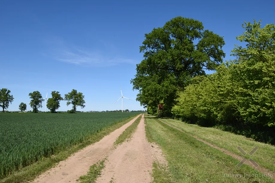 Dawny tor odgałęźny do ładowni w Kościeleczkach