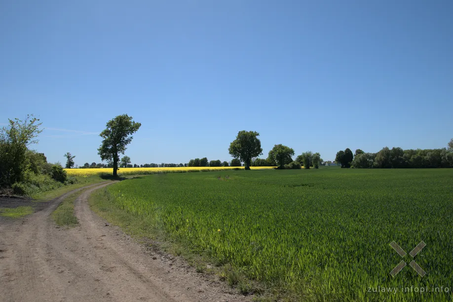 Dojazd do ładowni w Kościeleczkach