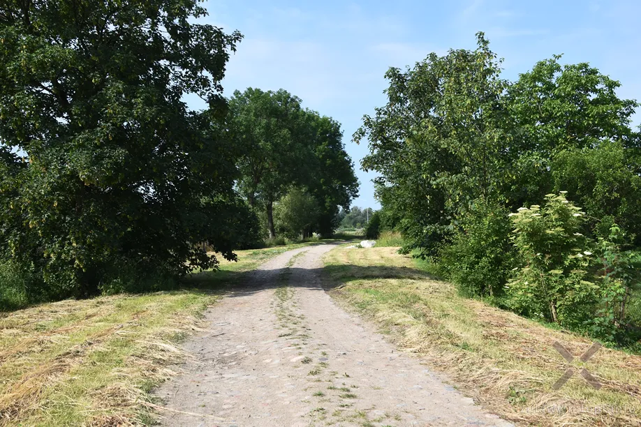Okolice dawnego przystanku Królewka