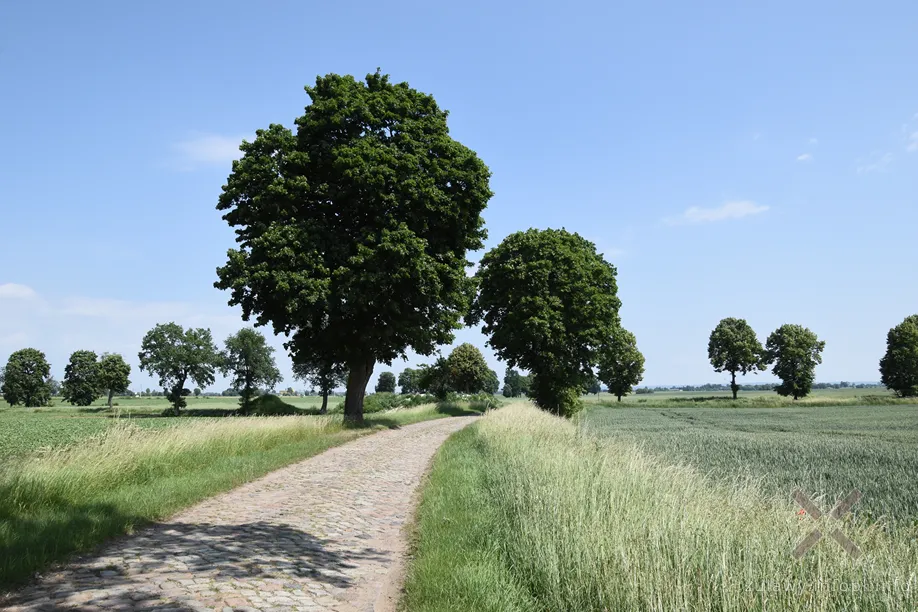 Odcinek Kikojty – Fiszewo