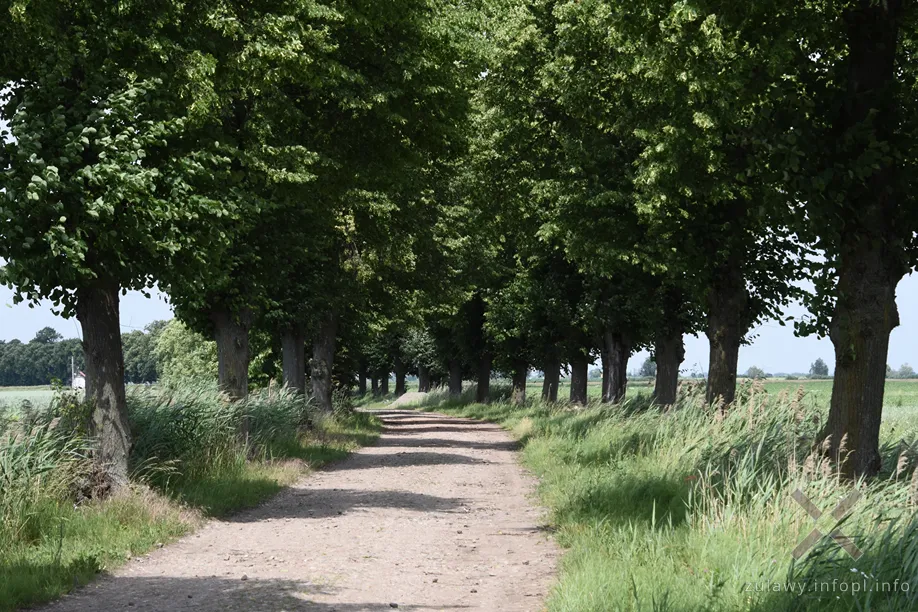 Odcinek Fiszewo – Rozgart