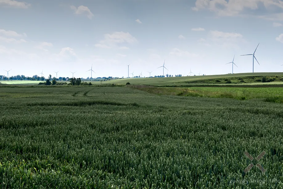 Widok na Pojezierze Dzierzgońsko-Morąskie, gdzie biegł tor kolejki