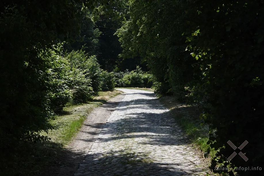 Pojezierze Dzierzgońsko-Morąskie