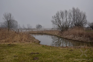 We mgle na Nizinę Walichnowską