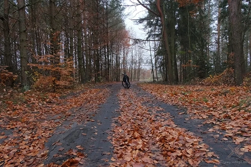 Jesień 2025 na Powiślu