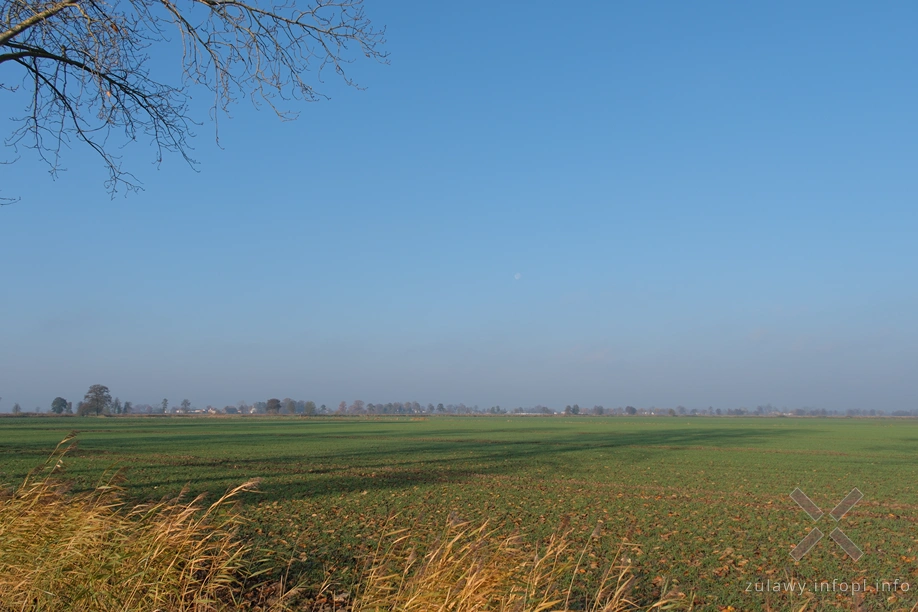 Żuławy Wiślane Żuławy Wiślane