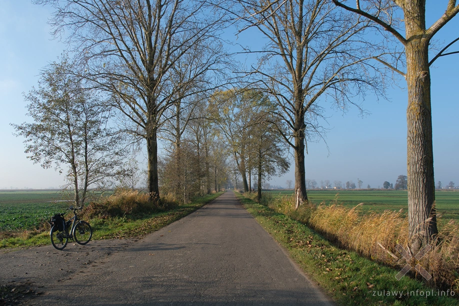 Żuławy Wiślane Żuławy Wiślane