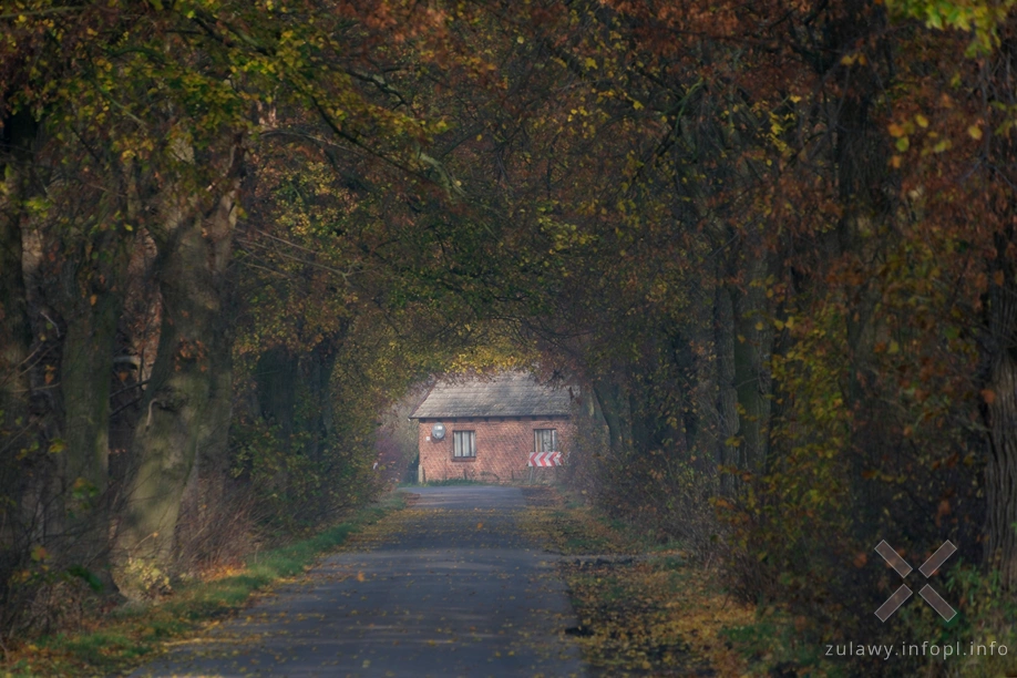 Żuławy Wiślane Żuławy Wiślane