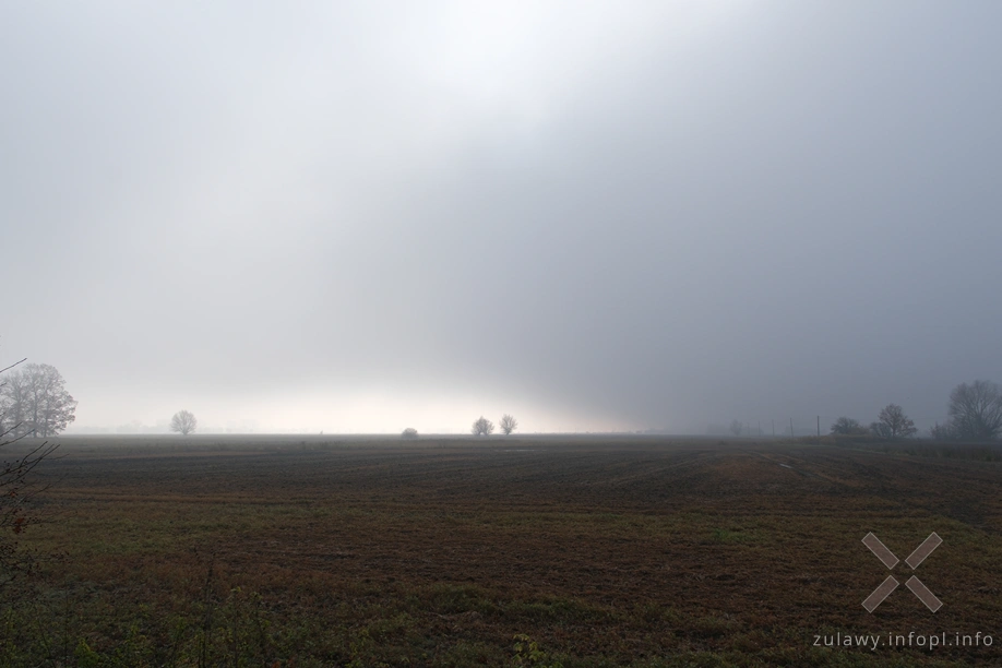 Żuławy Wiślane Żuławy Wiślane