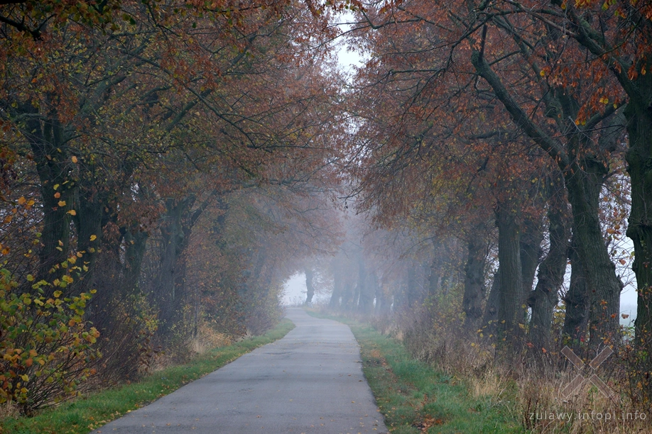 Żuławy Wiślane Żuławy Wiślane