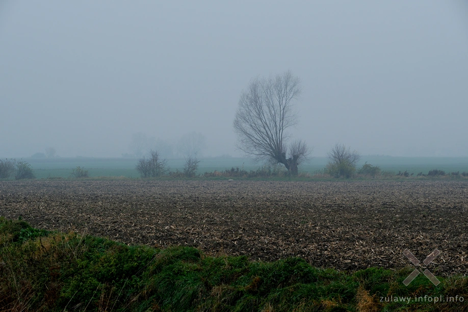 Żuławy Wiślane Żuławy Wiślane