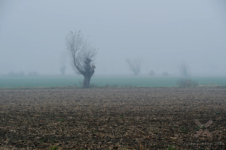 Żuławy Wiślane Żuławy Wiślane