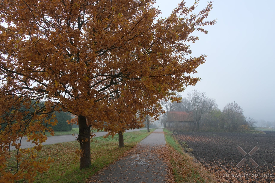 Żuławy Wiślane Żuławy Wiślane