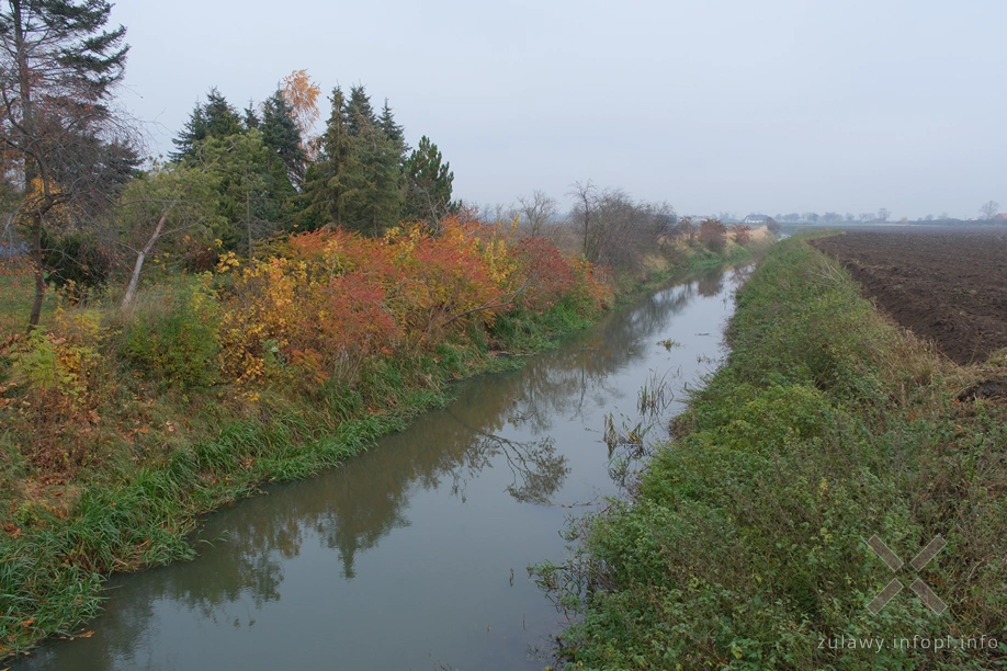 Żuławy Wiślane Żuławy Wiślane