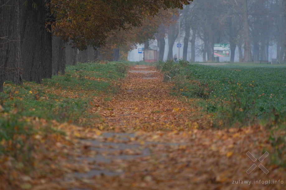 Żuławy Wiślane Żuławy Wiślane