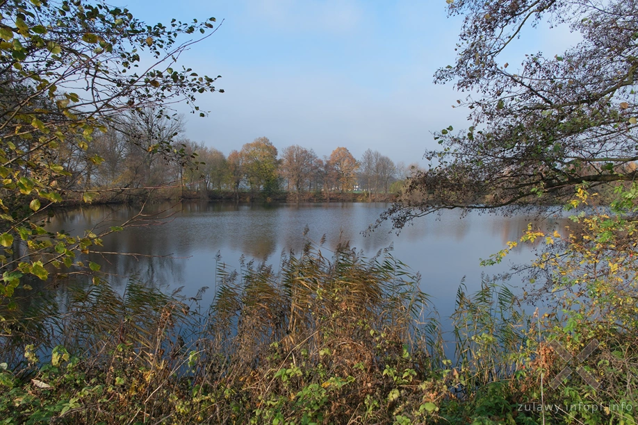 Żuławy Wiślane Żuławy Wiślane