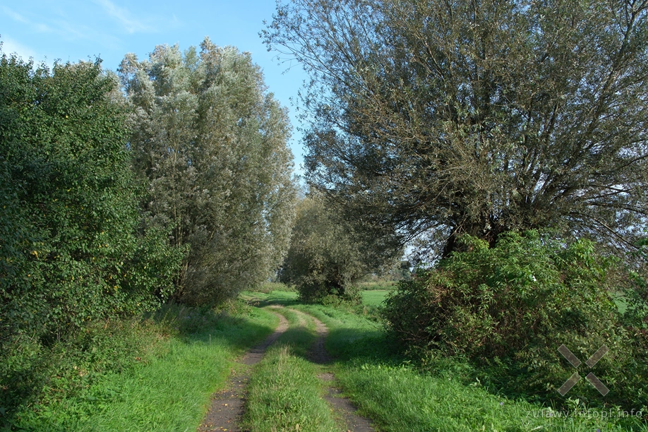 Żuławy Wiślane Żuławy Wiślane