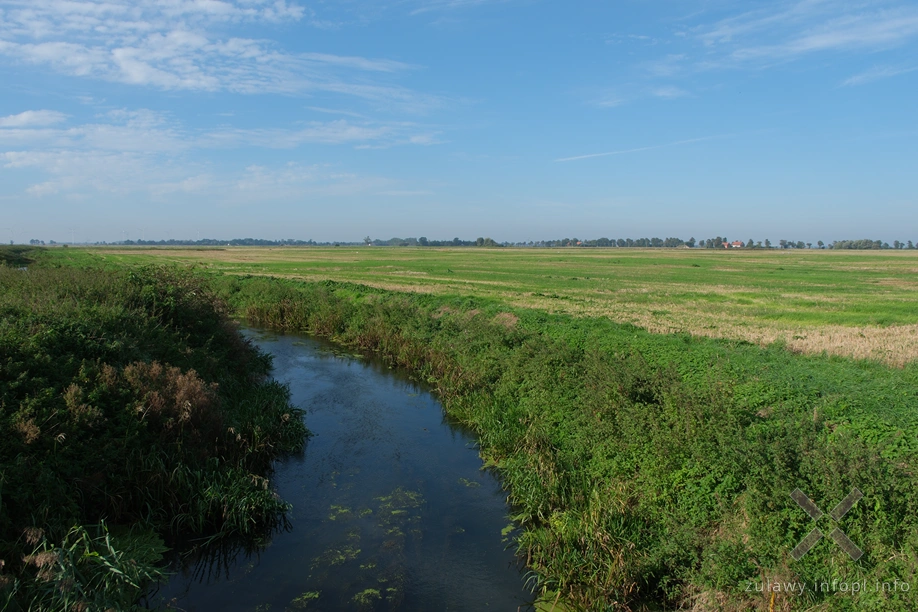 Żuławy Wiślane Żuławy Wiślane