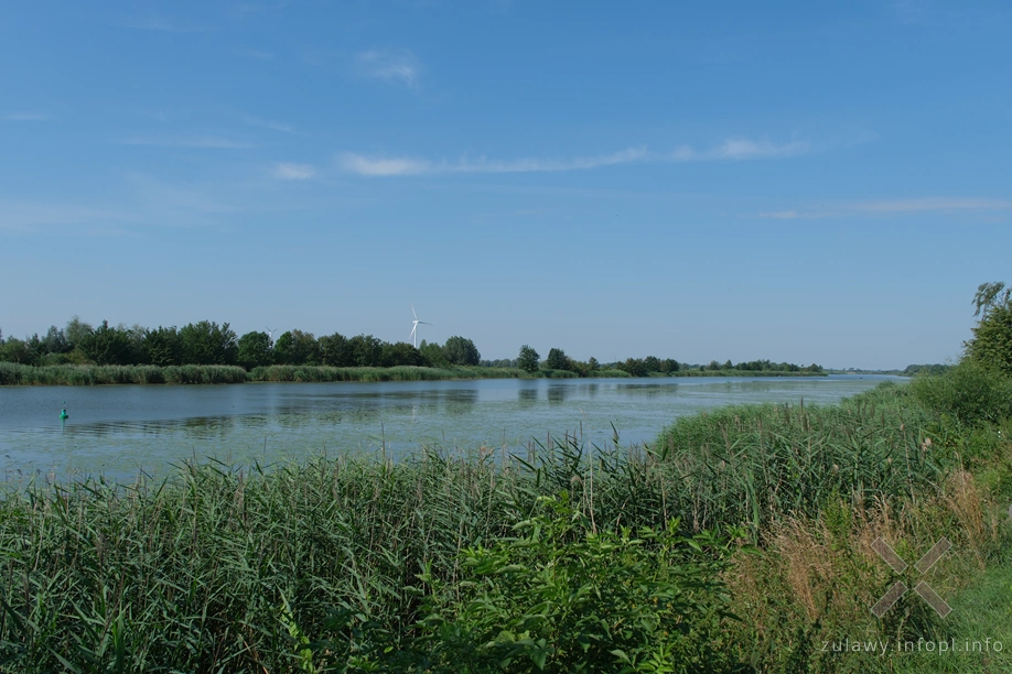 Nogat w Jazowej Nogat w Jazowej