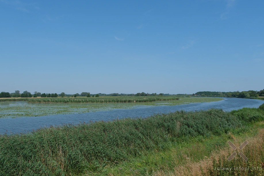 Rozwidlenie Cieplicówki i Nogatu w Kępie Rybackiej Rozwidlenie Cieplicówki i Nogatu w Kępie Rybackiej