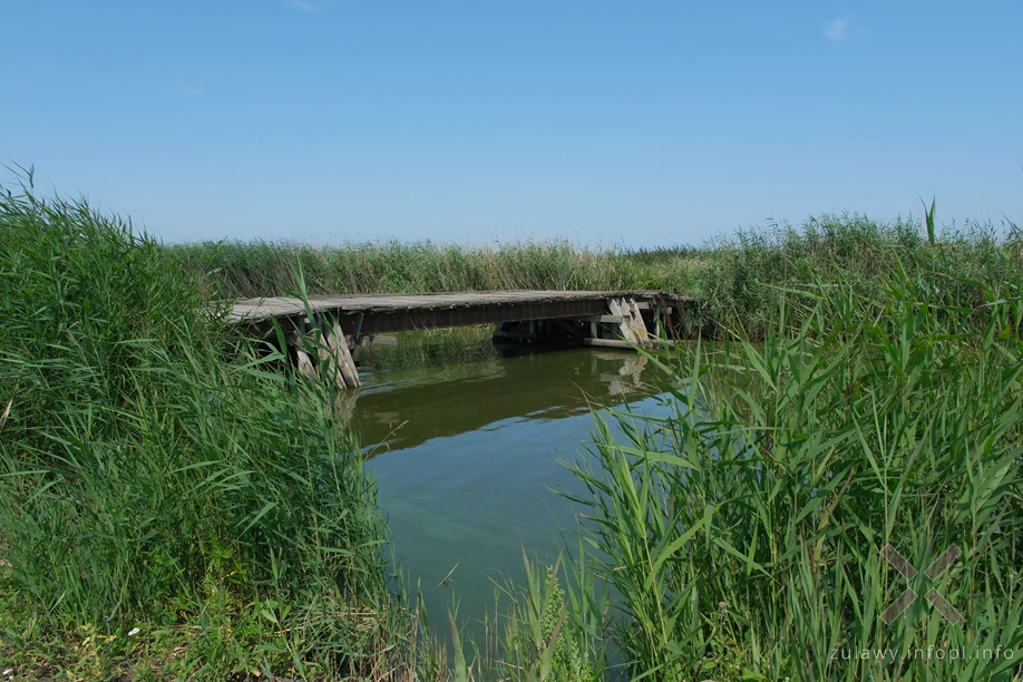 Kanał łączący Zatokę Elbląską z Jeziorem Batorowskim Kanał łączący Zatokę Elbląską z Jeziorem Batorowskim