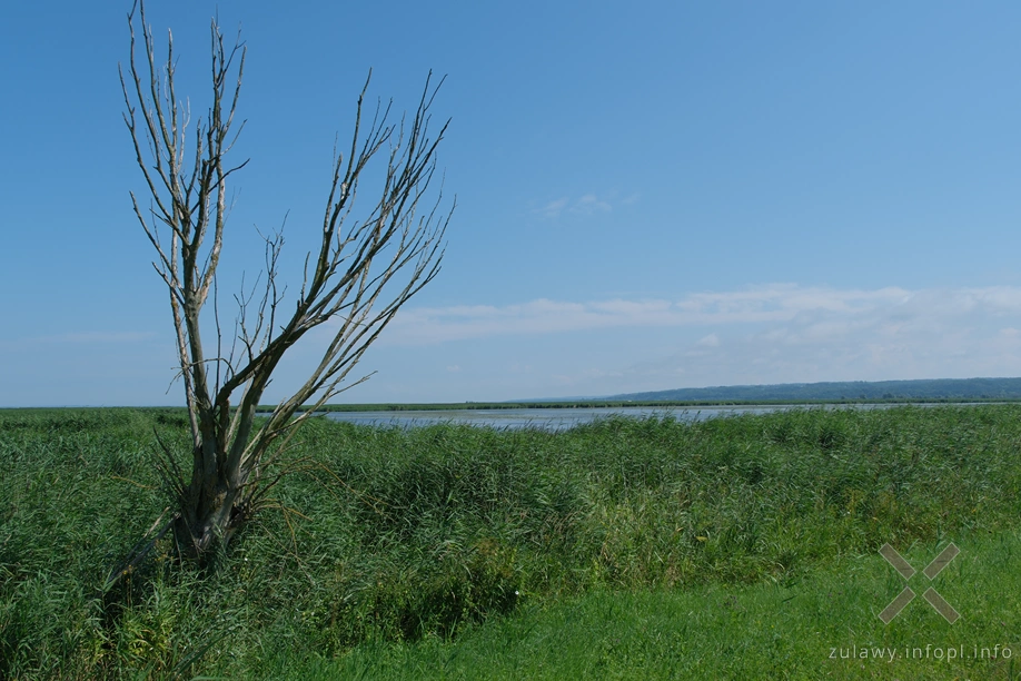 Jezioro Batorowskie Jezioro Batorowskie