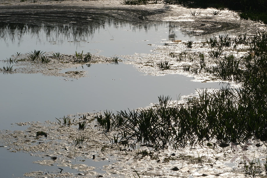 „Rzeka Święta „Rzeka Święta