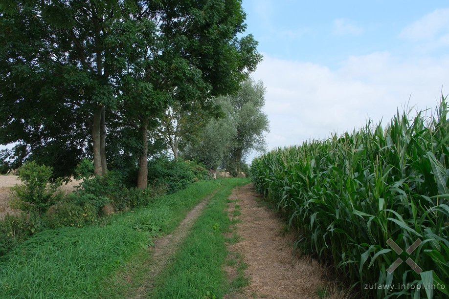 Polder Marzęcino Polder Marzęcino