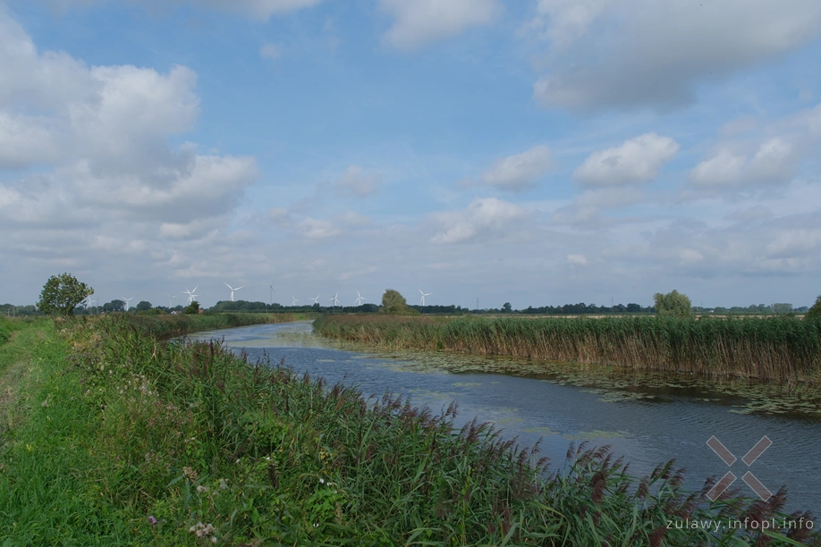 Polder Marzęcino- Stara Tuga Polder Marzęcino- Stara Tuga