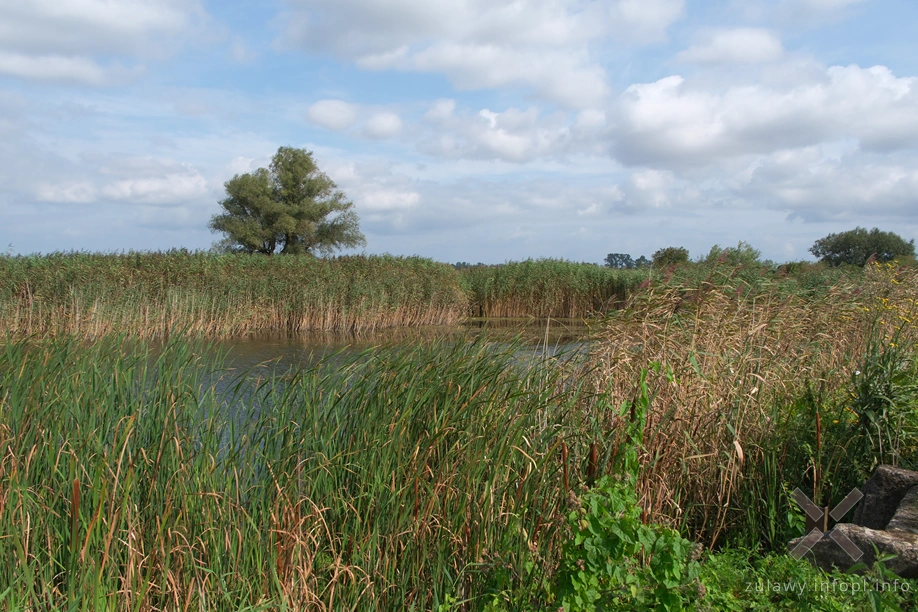 Polder Marzęcino- Stara Tuga Polder Marzęcino- Stara Tuga