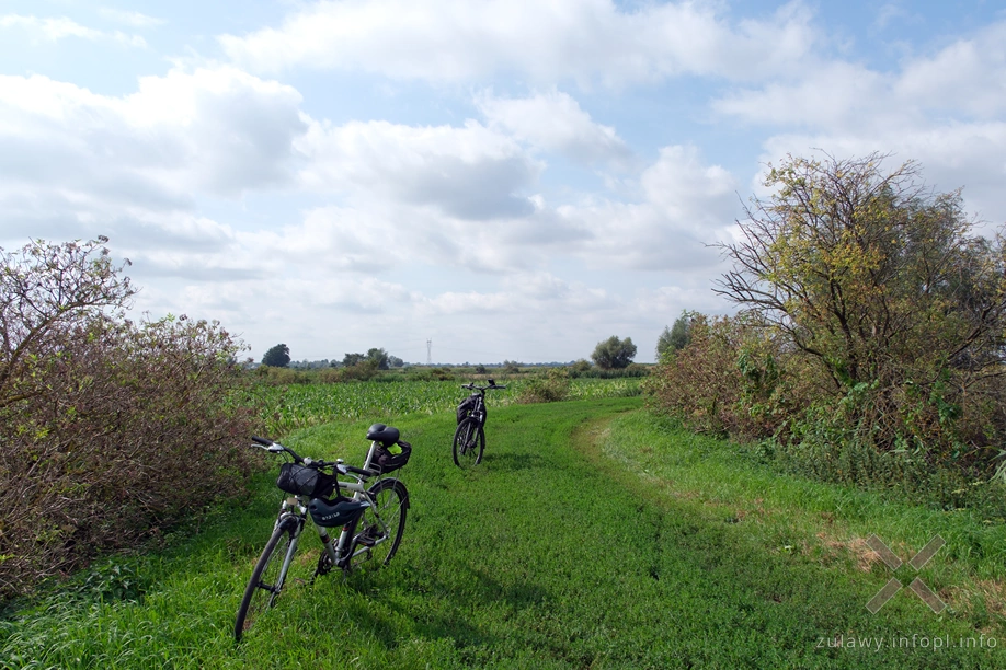 Polder Marzęcino Polder Marzęcino