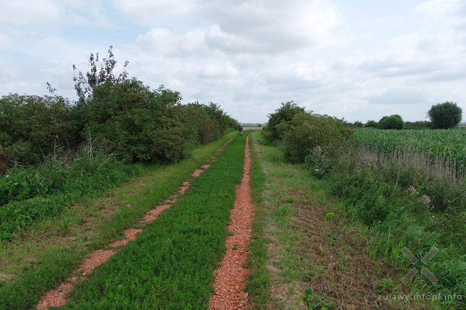 Polder Marzęcino Polder Marzęcino