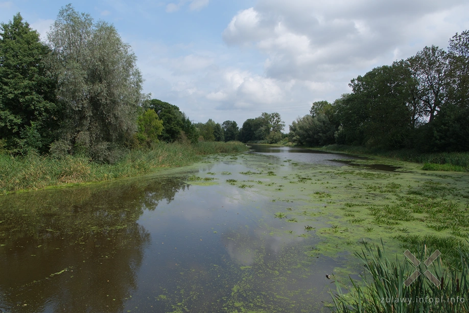 Kanał Panieński Kanał Panieński